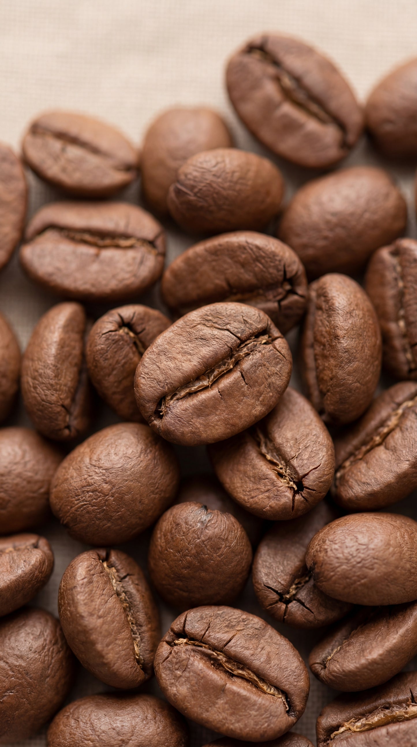 Coffee – Whole Bean & Ground